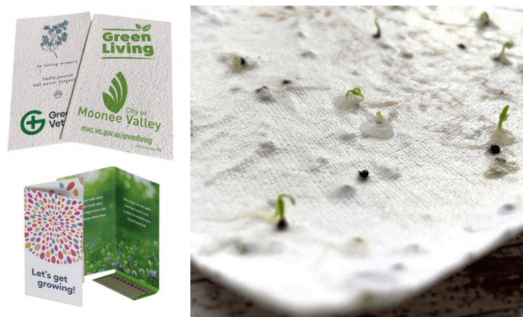 promotional Seed Sticks Greeting Cards and Postcards
